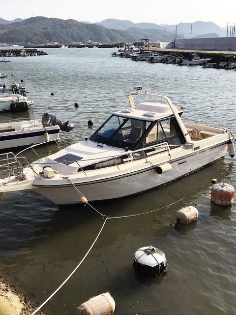 Vlad Sea YAMAHA FR27